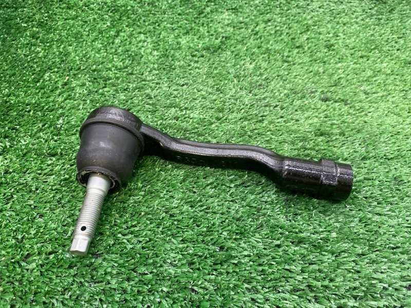 Рулевой наконечник лев.