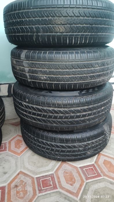 Kobilt deska balon 14