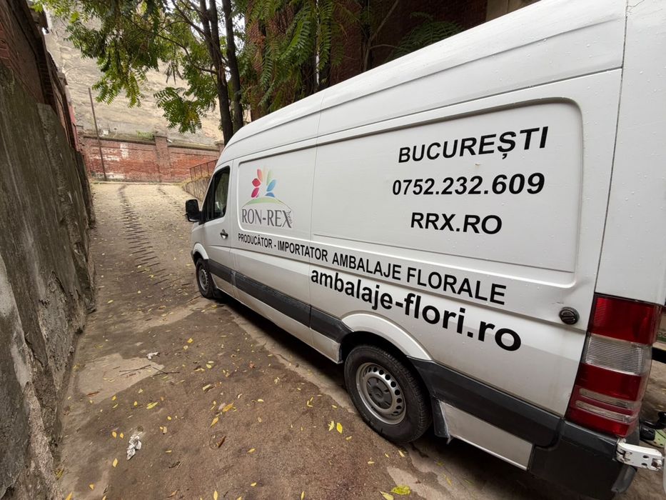 MERCEDES-BENZ Sprinter 2009 — imagine 3