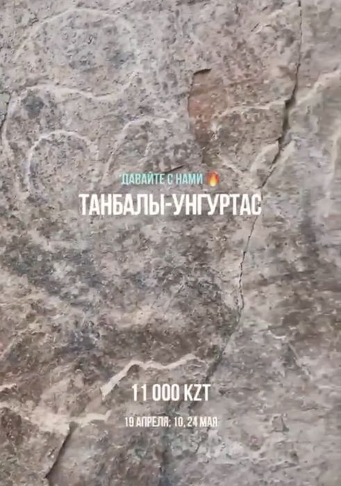 Туры, путевки, экскурсии