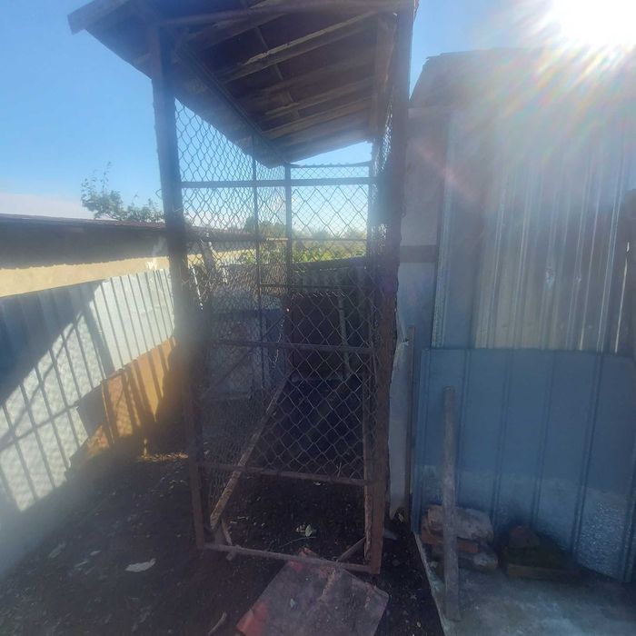 Vand porumbar(coser porumb)