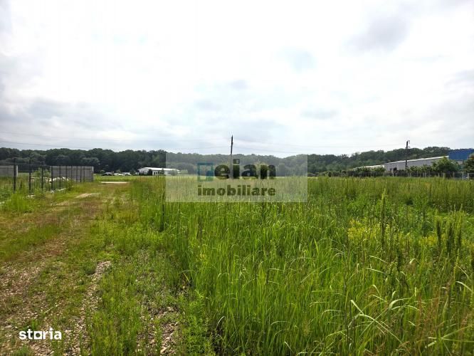 Ciolpani - Padure 1100 Mp, Toate Utilitatile, Padure, 26 Deschidere