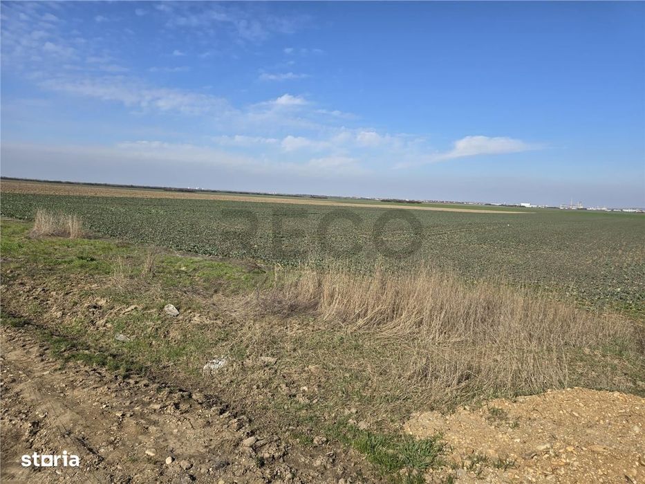 RECO Teren in Oradea