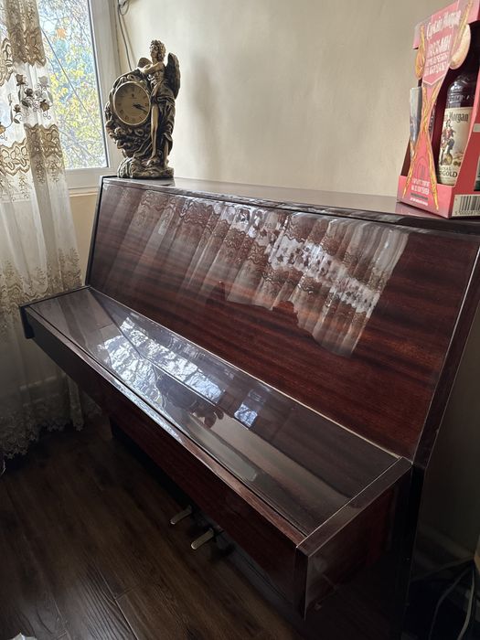 Фортепьяно Rica пианино