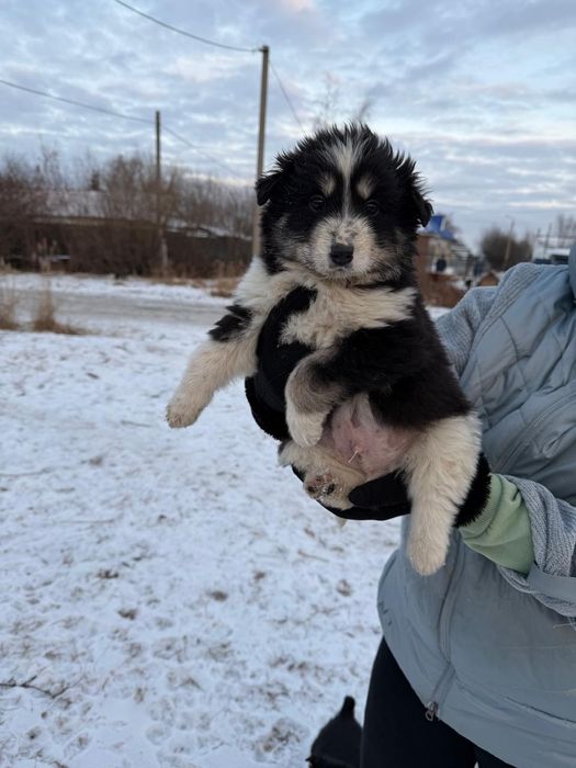 Подарите дом малышам.
