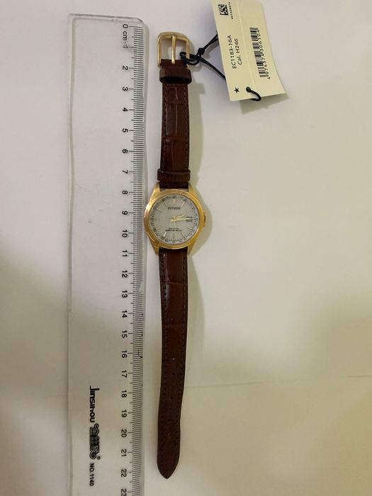 ceas citizen (CTG)