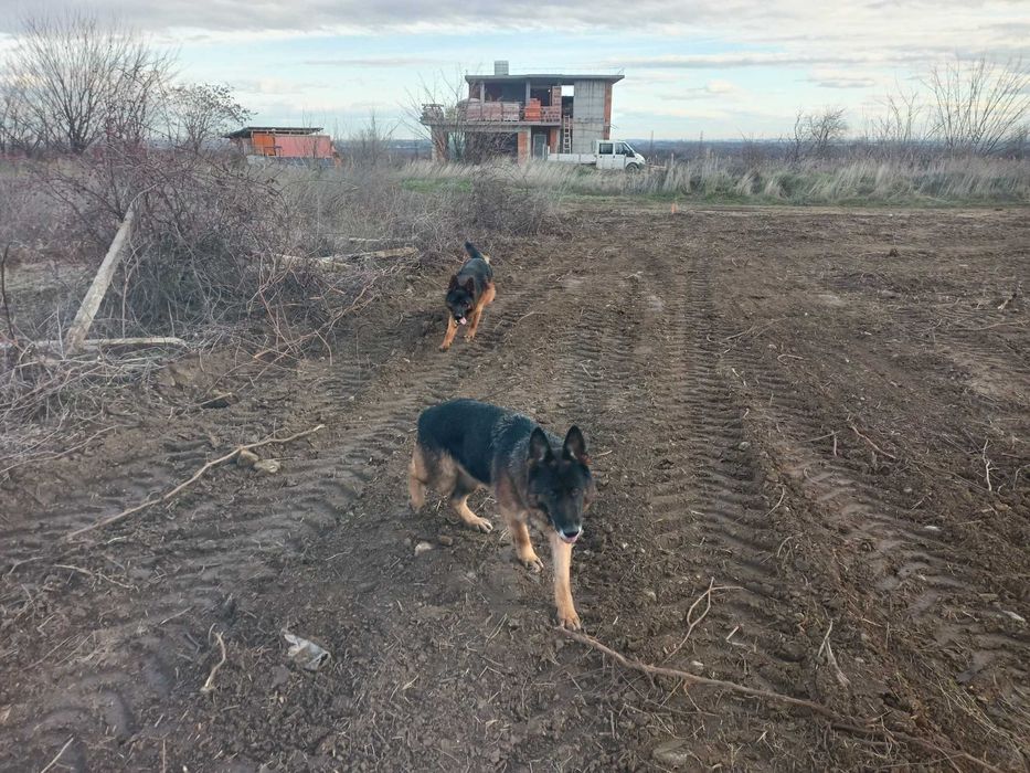 Продава се Парцел в Пловдив, Каменица 1 - 991 кв.м за 18 €/кв.м - Снимка #4