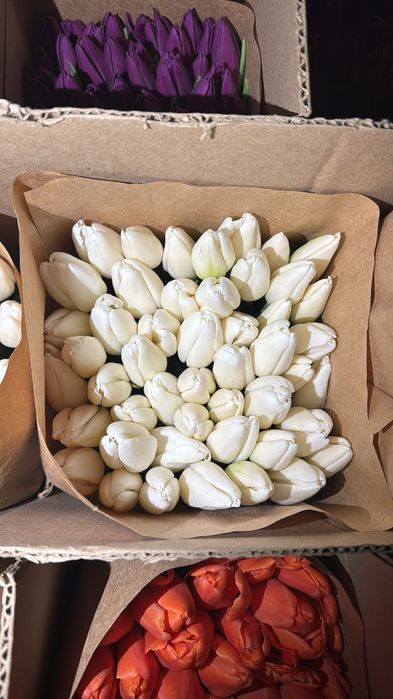 Тюльпаны с оформлением 700 тг.