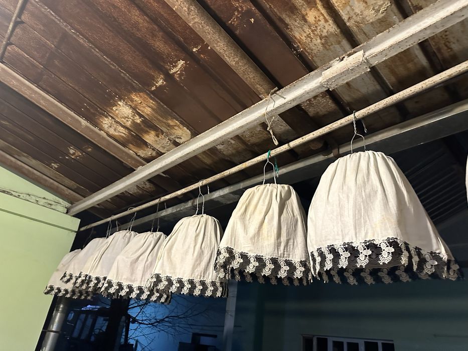 Продаются перепела (бедана)