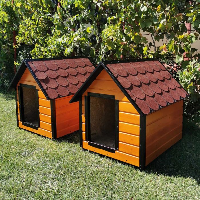 Cusca Caine Talie Mare Diverse Modele si Optionale - atvi.eu