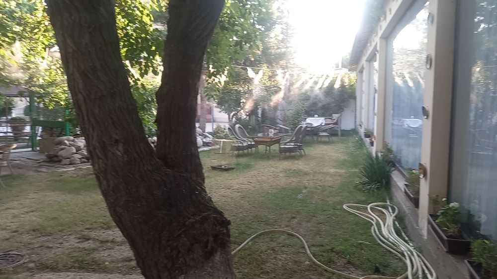 Mikrokilimit soya setka