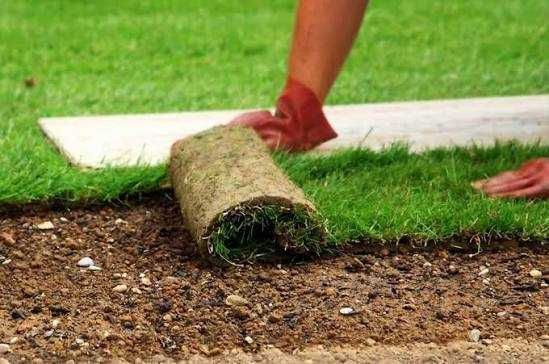 Газон | Gazon | оптом арзон | Landshaft Dizayn