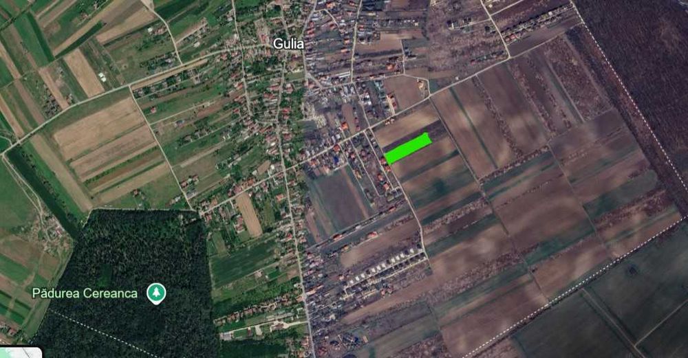 Teren Gulia - Str La Trei Vulturi - zona linistita - 4.700 mp cu deschidere 30 m - permite parcelare 10-11 loturi