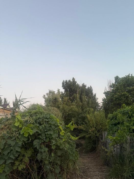 Продается срочно дом