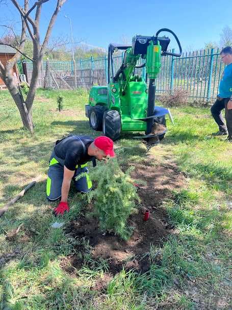 Засаждане на дървета по компенсационна програма