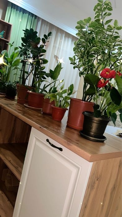 Барный стойка студия