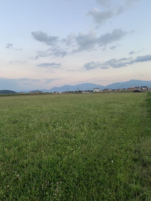 Teren intravilan intre Bod si Sanpetru