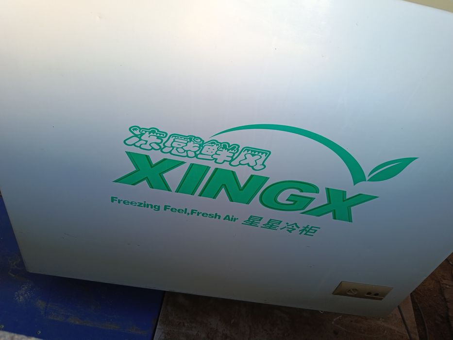 Marazzelka muzlatkich