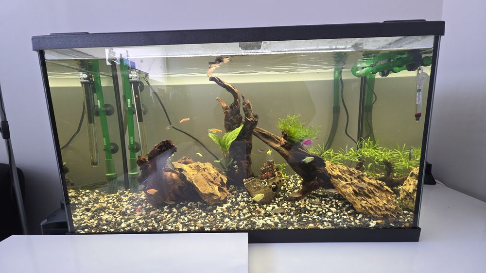 Аквариум Eheim Aquapro LED 126