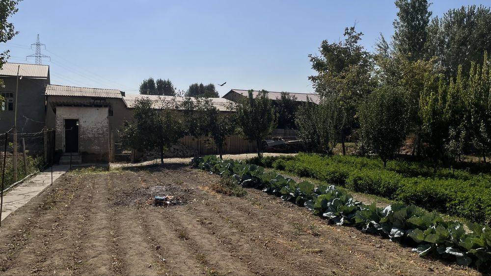 Участка сотилади 5+3 сотих Кибрайда