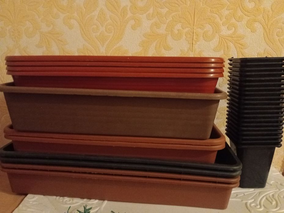 Ёмкости для рассады