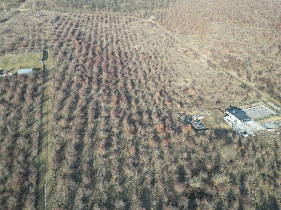 Teren de vanzare, Livezeni extravilan