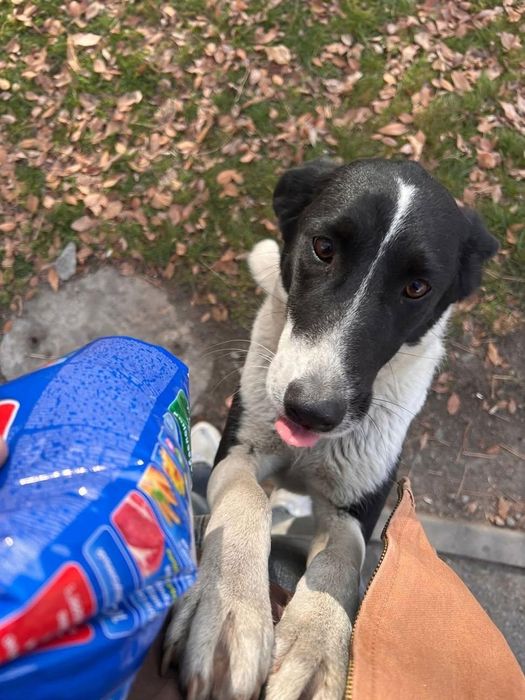 В поиске любящей семьи