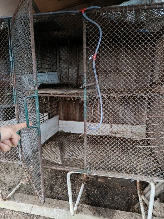 Cusca iepuri cu 4 compartimente