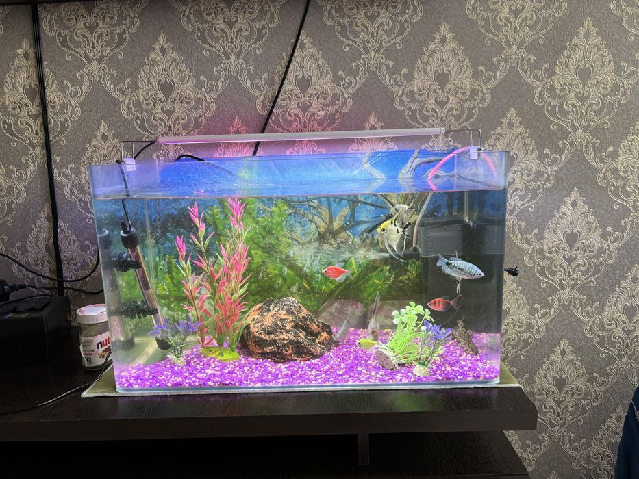 Продается аквариум с рыбками.
