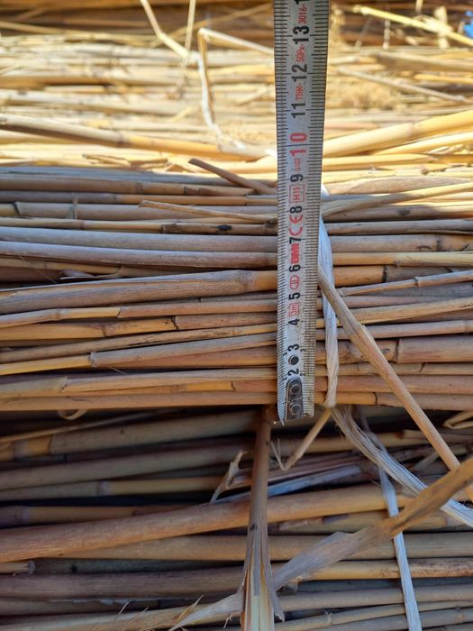 Қамыс (маты плита)