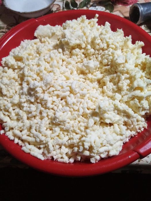 Brânză și casi de vaca