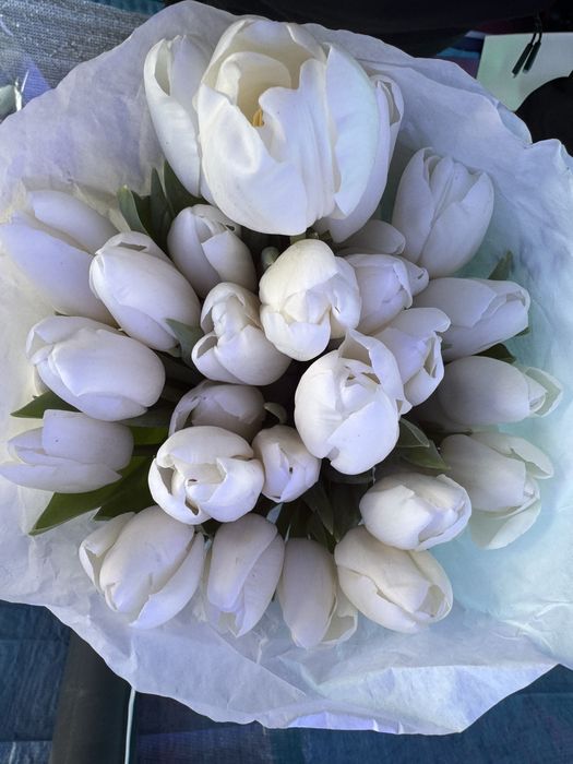 Тюльпаны свежие с луковицами