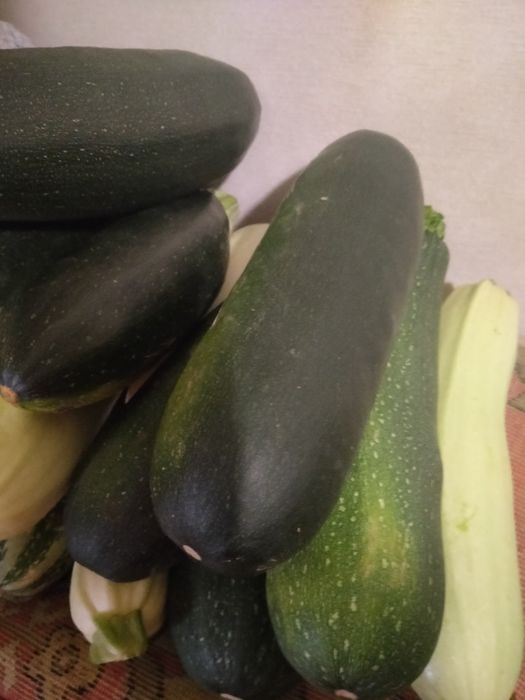 Продам дачные огурчики, кабачки