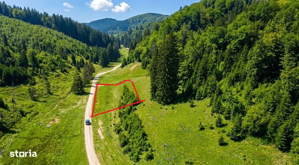 Poiana Brașov, Teren intravilan 2.763 mp , utilitati, Str. Stânii,