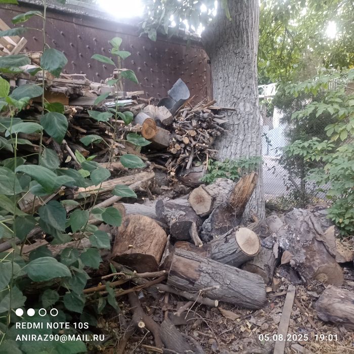 Утин сотилади хар хил дарахтлардан. Урик, ёнгок, гилос итд. Бир зил