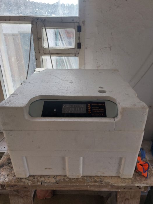 Инкубатор сатылады