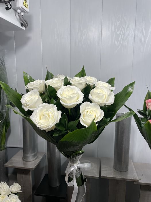 Белые розы для подарок на свидание или в день рождения