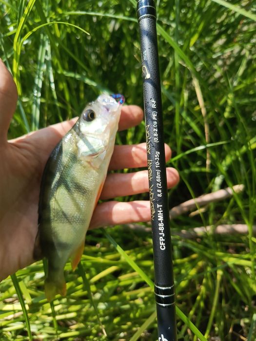 Спиннинг Crazy Fish Perfect Jig 88 MHT.