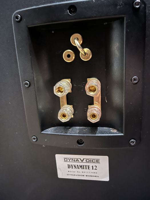 Тонколони Dynavoice DYNAMITE 12