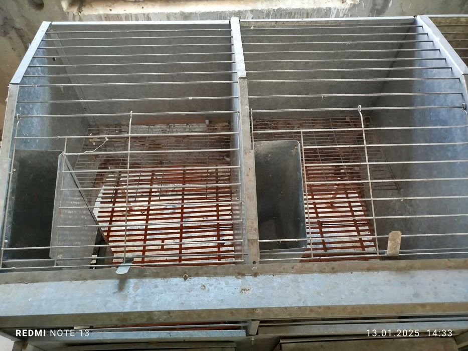 Quyon qafasi sotiladi