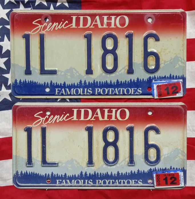 Американски Регистрационни Номера Табели USA Комплект ЧИФТ