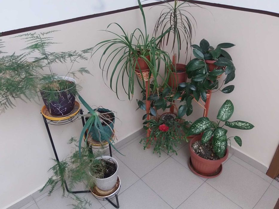 Olympus SP-720UZ 14 mPx