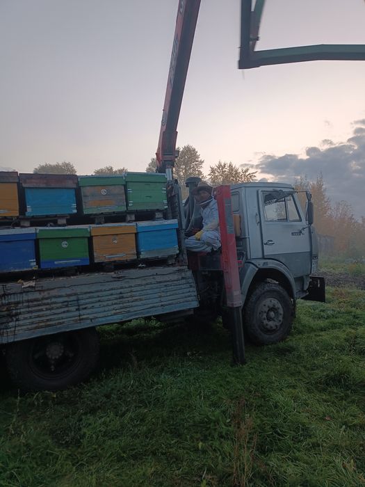 Услуги манипулятора