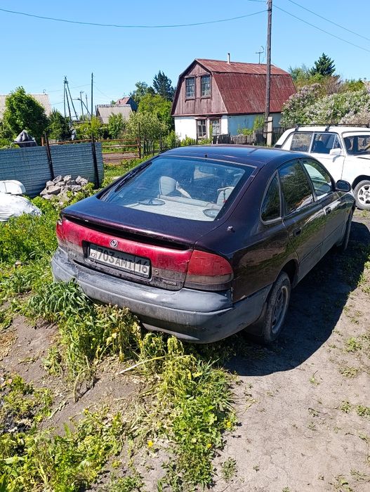 Хорошая лошадка теплая