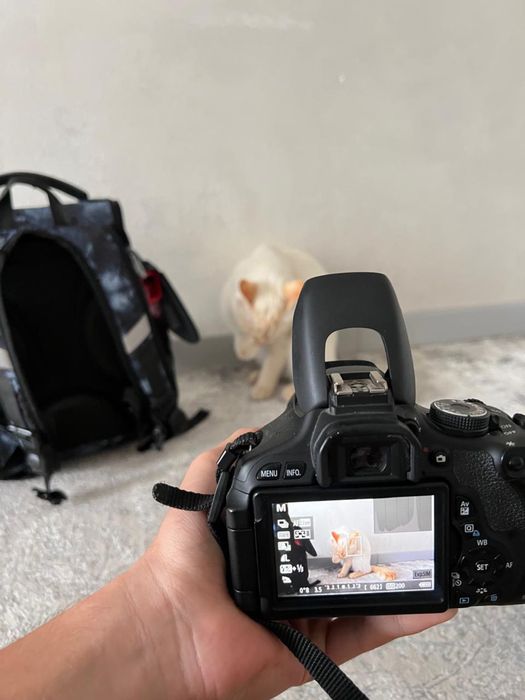 canon eos 600d в хорошем состояний