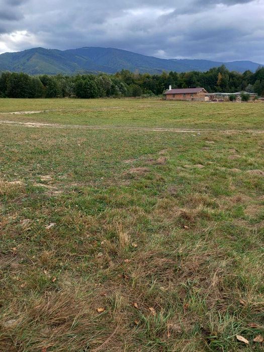 Vând  teren Valea Sebeșului