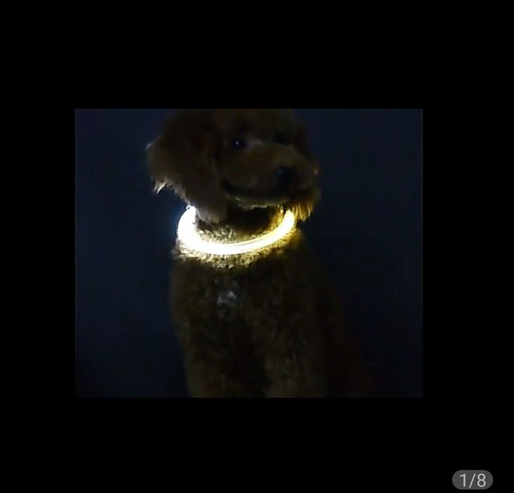 СВЕТЯЩИЕСЯ ошейники для собак