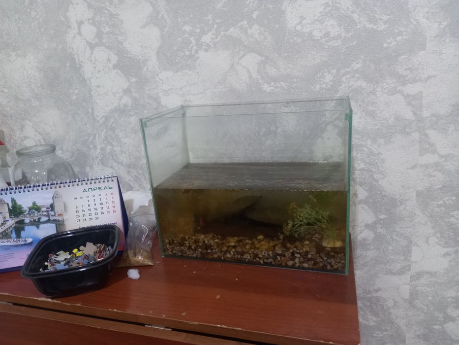 Продам аквариум,,