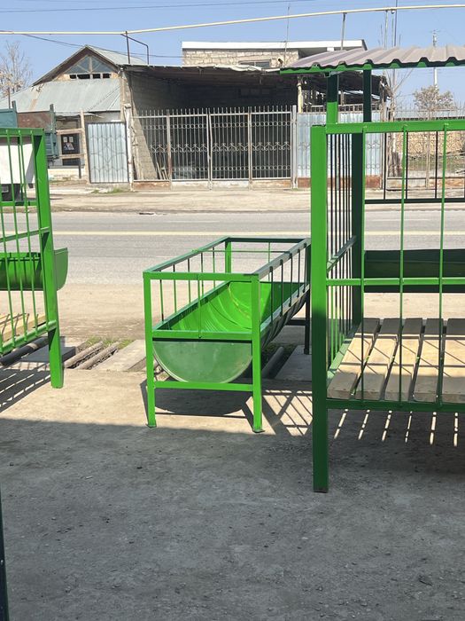 Койга арналган ахыр науа