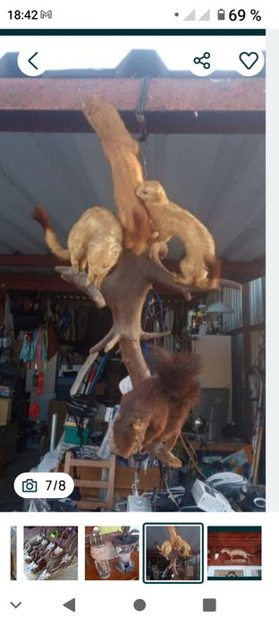 Vând taximetrie,jder,castor,fazan, acvila